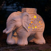 The Elephant of Light and Peace — Featured in The Shed Magazine